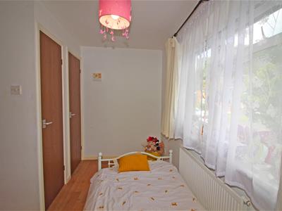 Picture 15